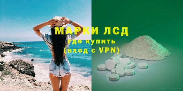сатива Кулебаки