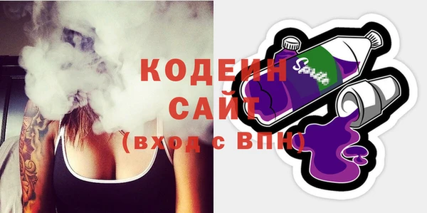 сатива Кулебаки