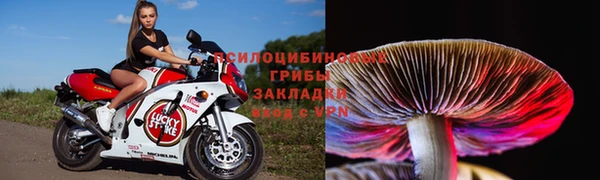 сатива Кулебаки