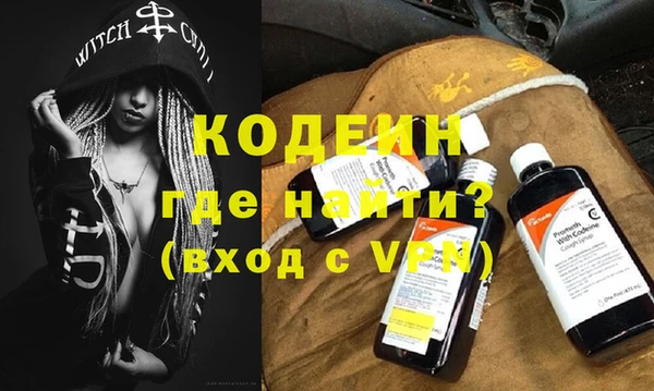 сатива Кулебаки