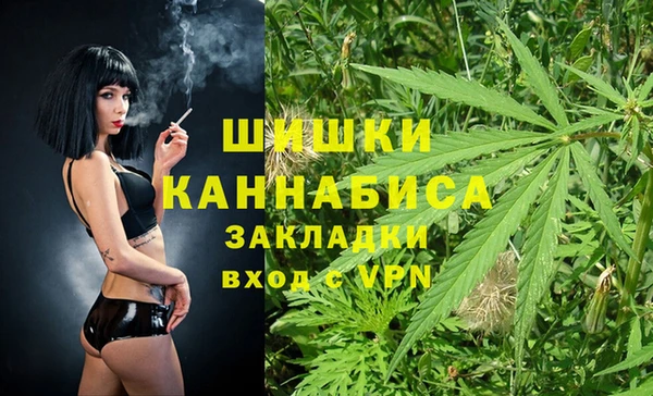 сатива Кулебаки
