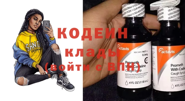 сатива Кулебаки