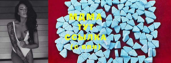 сатива Кулебаки