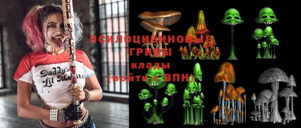 сатива Кулебаки