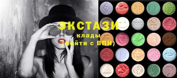 сатива Кулебаки