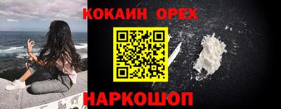 стаф Гай