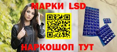 стаф Гай