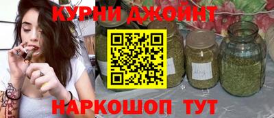 стаф Гай