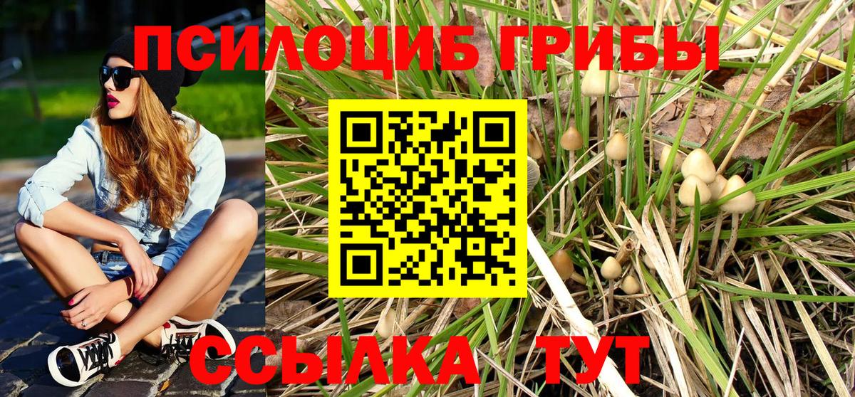 Псилоцибиновые грибы Magic Shrooms  Домодедово 
