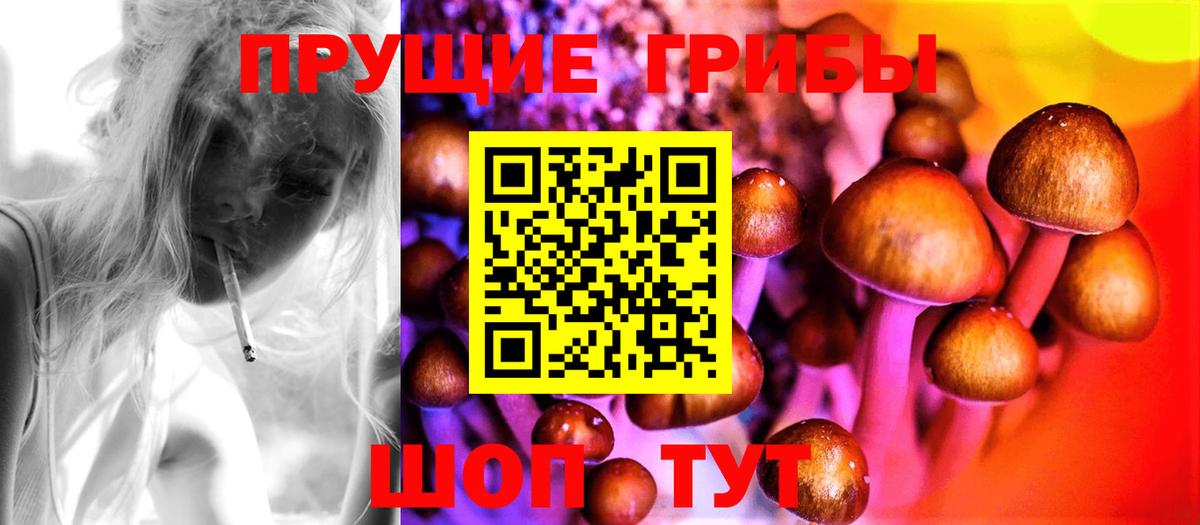 Псилоцибиновые грибы Cubensis  где можно купить наркотик  Домодедово  Вход с VPN 